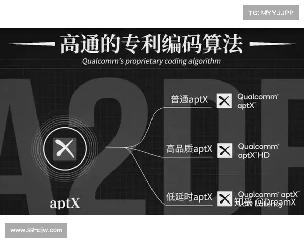 超高清码流自适应算法近期取得突破 显著改善移动端视觉流畅度