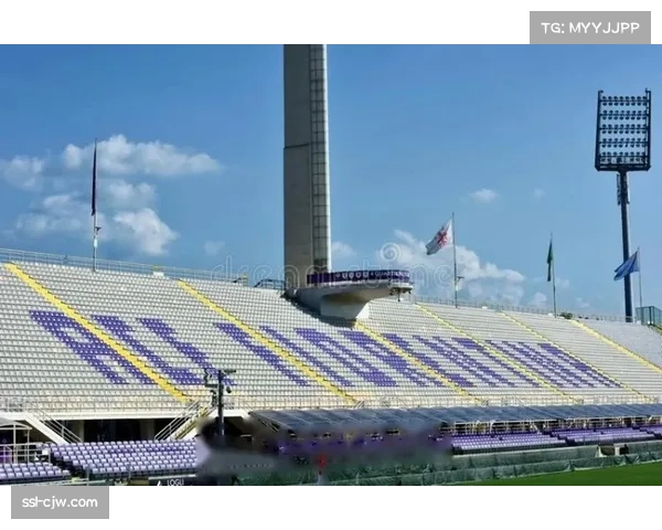 球场Wi-Fi覆盖成为新赛场？评论分析意甲中小俱乐部在基础设施投资上的两难